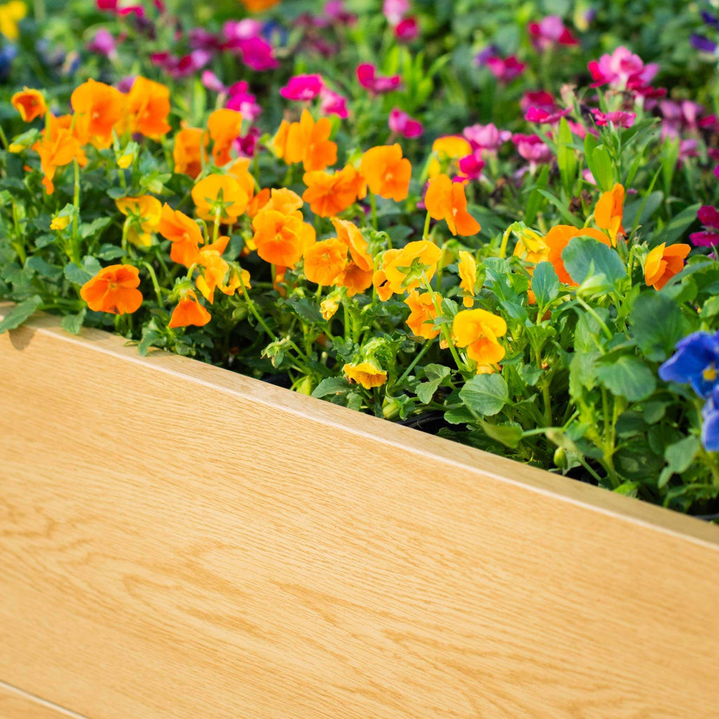 Greenhaus Gardening 4' × 4' EverGrove Woodgrain Raised Garden Bed