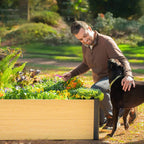 Greenhaus Gardening 4' x 8' Metal Raised Garden Bed with Woodgrain Finish