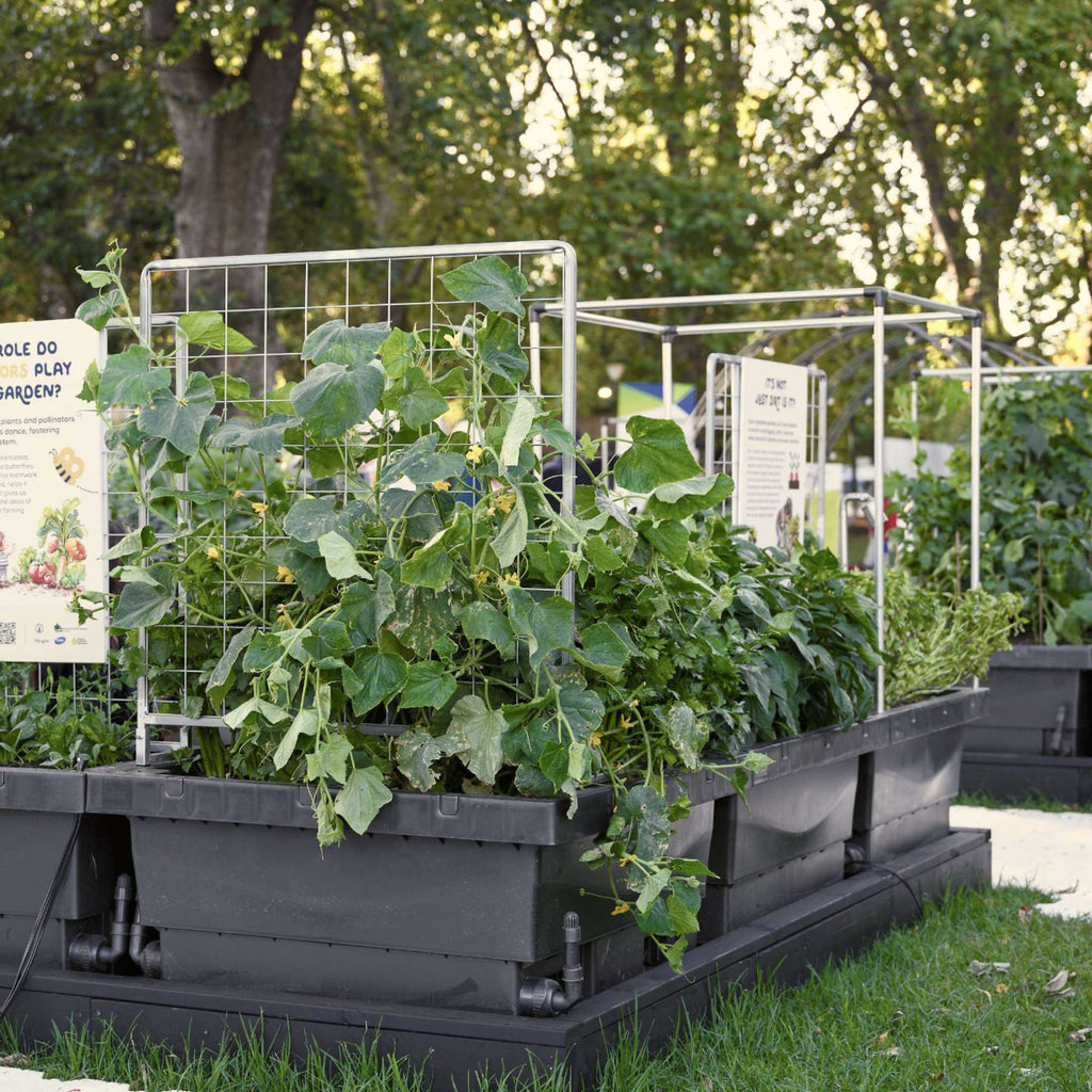 Greenhaus Gardening Advanced Self-Watering Raised Garden Planter