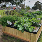Greenhaus Gardening Compact Raised Garden Planter with Self-Watering Design