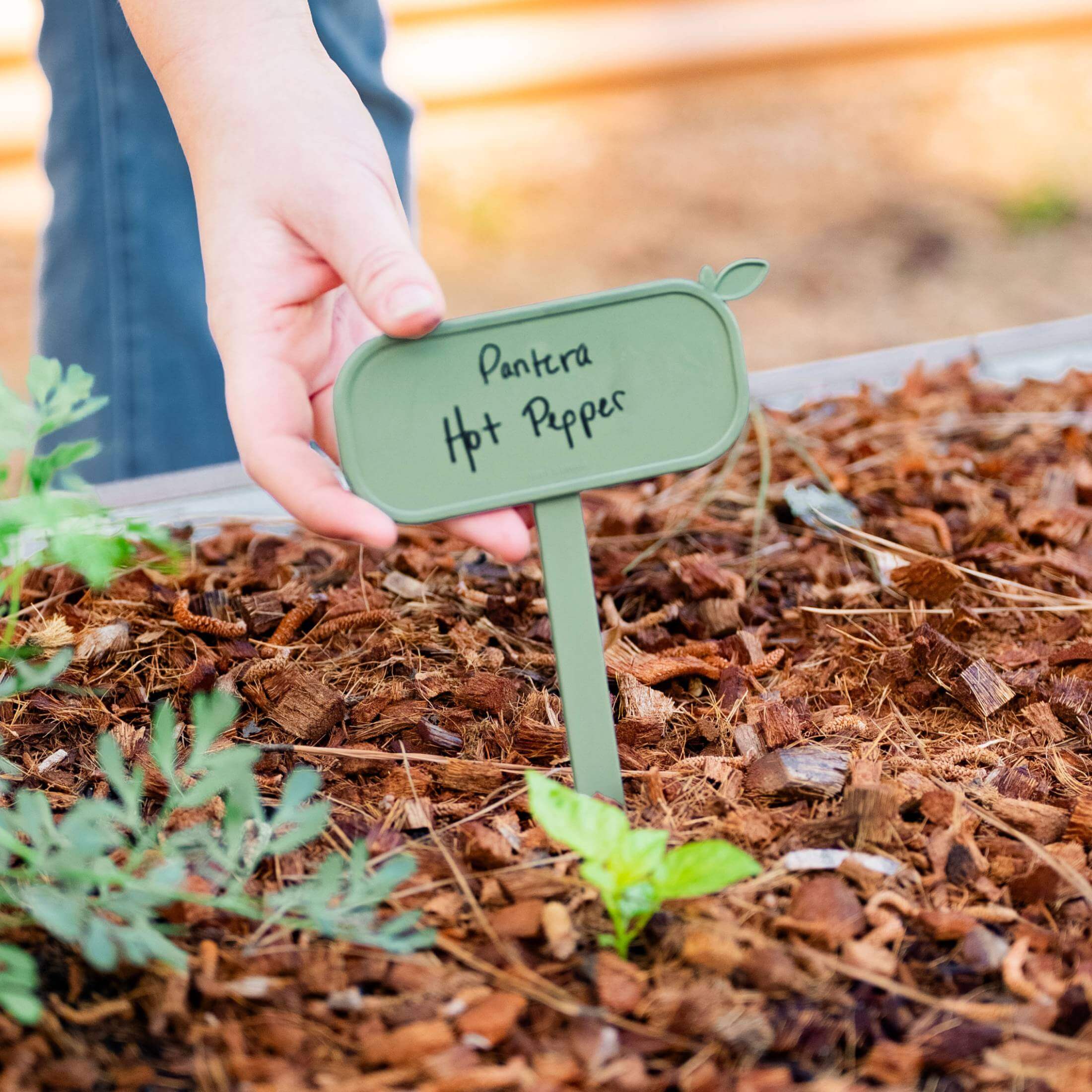Greenhaus Gardening Plant Tags for Metal Raised Garden Beds