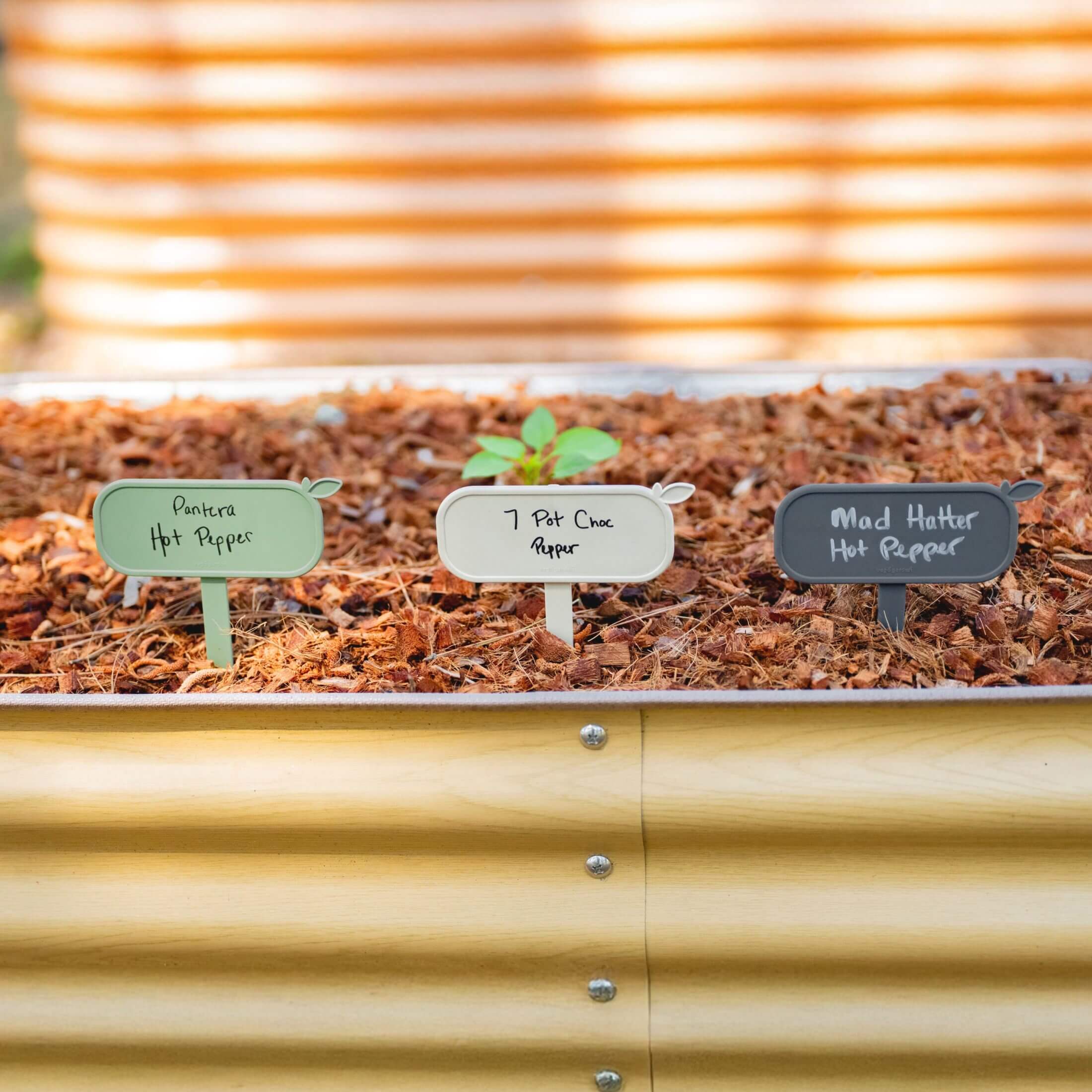Greenhaus Gardening Magnetic Plant Tags for Raised Garden Beds – 10 Pack