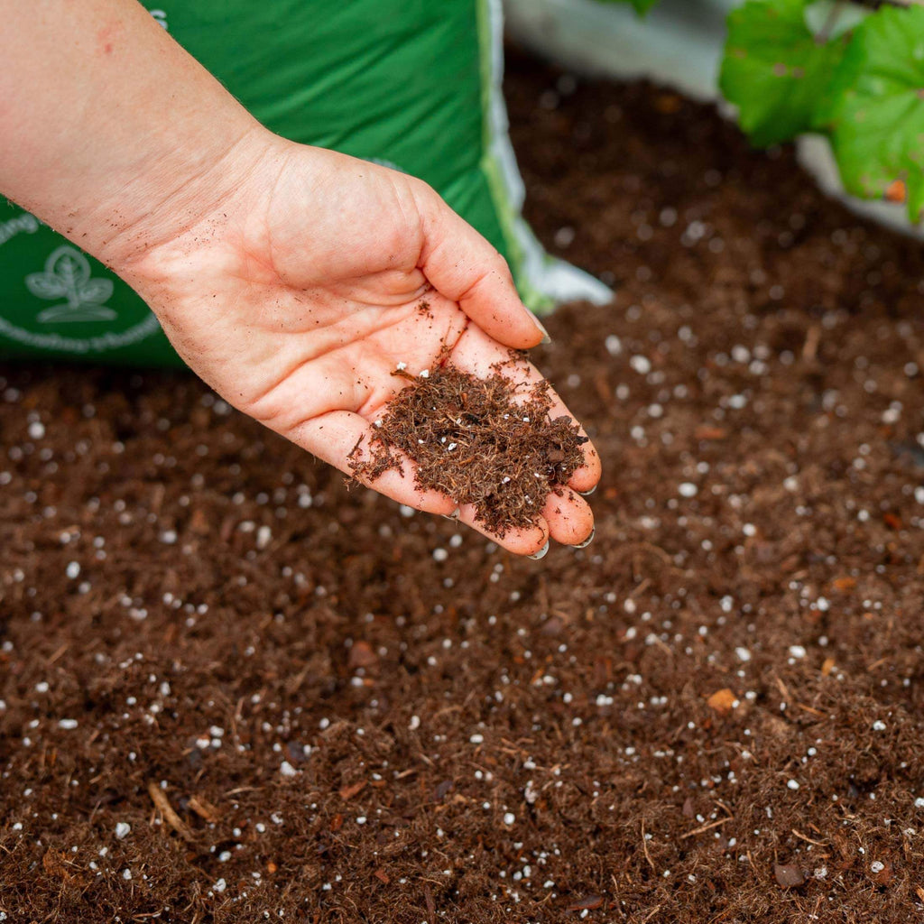 Greenhaus Gardening Organic Raised Bed Soil Blend for Healthy Plant Growth