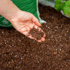 Greenhaus Gardening Organic Raised Bed Soil Blend for Healthy Plant Growth