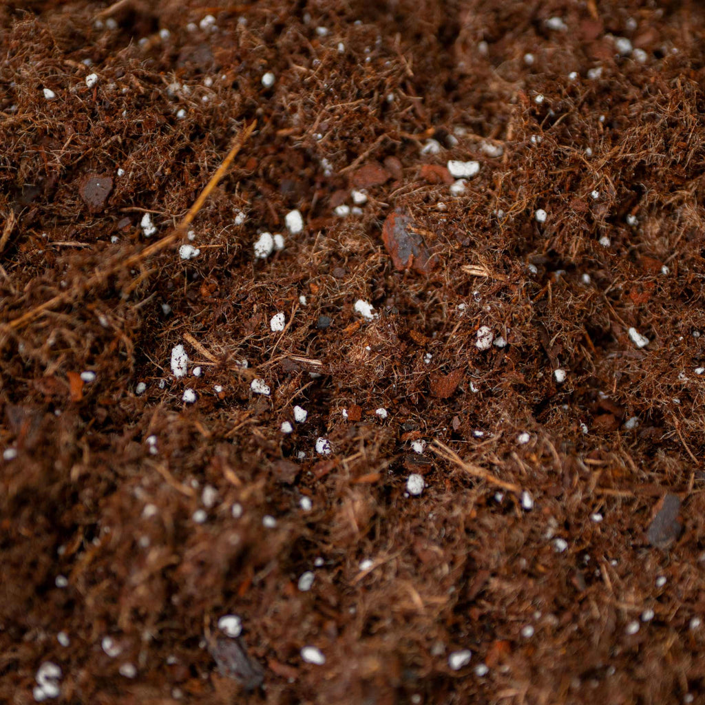 Greenhaus Gardening Organic Raised Bed Soil Blend for Healthy Plant Growth