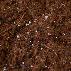 Greenhaus Gardening Organic Raised Bed Soil Blend for Healthy Plant Growth