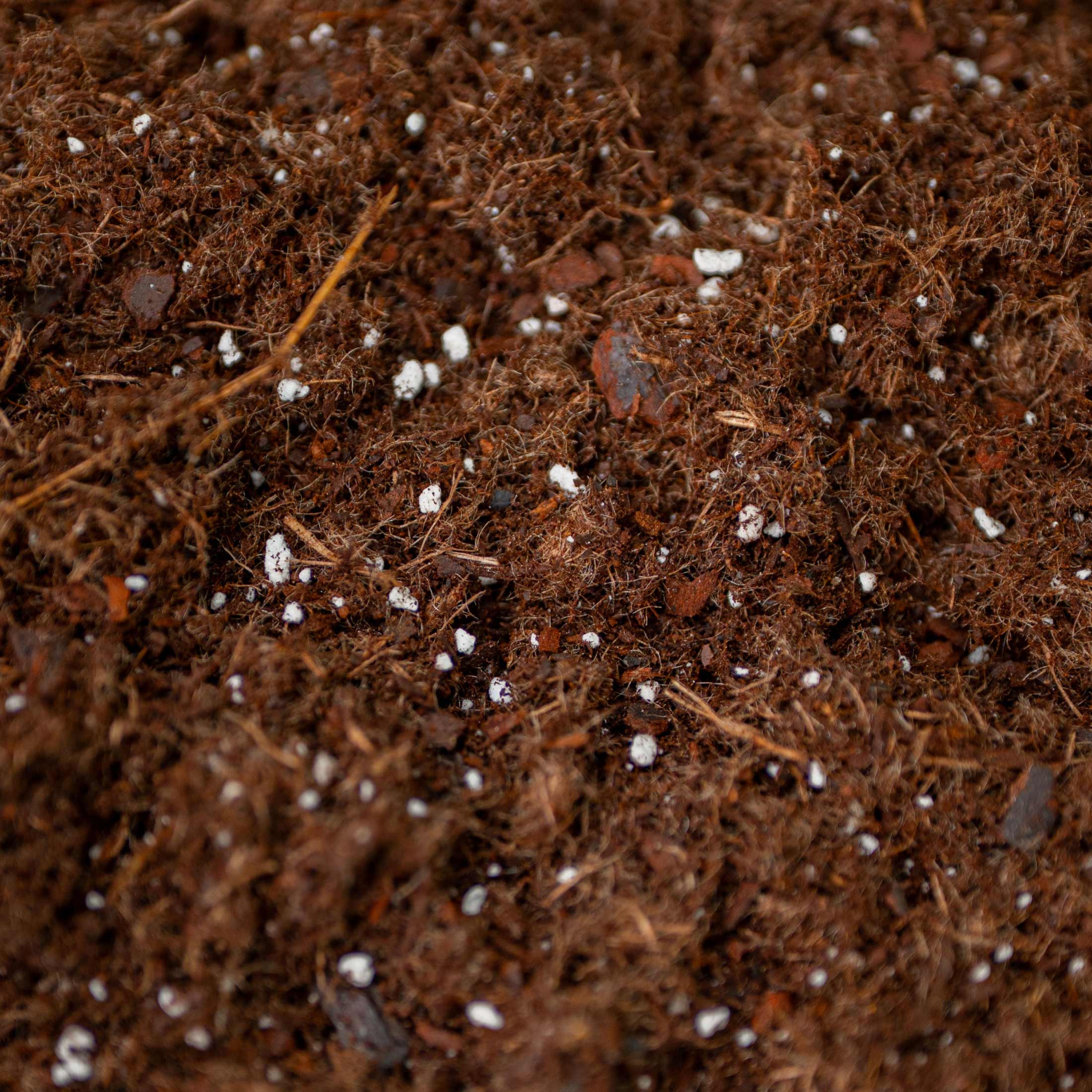 Greenhaus Gardening Organic Raised Bed Soil Blend for Healthy Plant Growth
