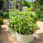 Greenhaus Gardening Metal Garden Trellis for Raised Beds, Outdoor Plant Support