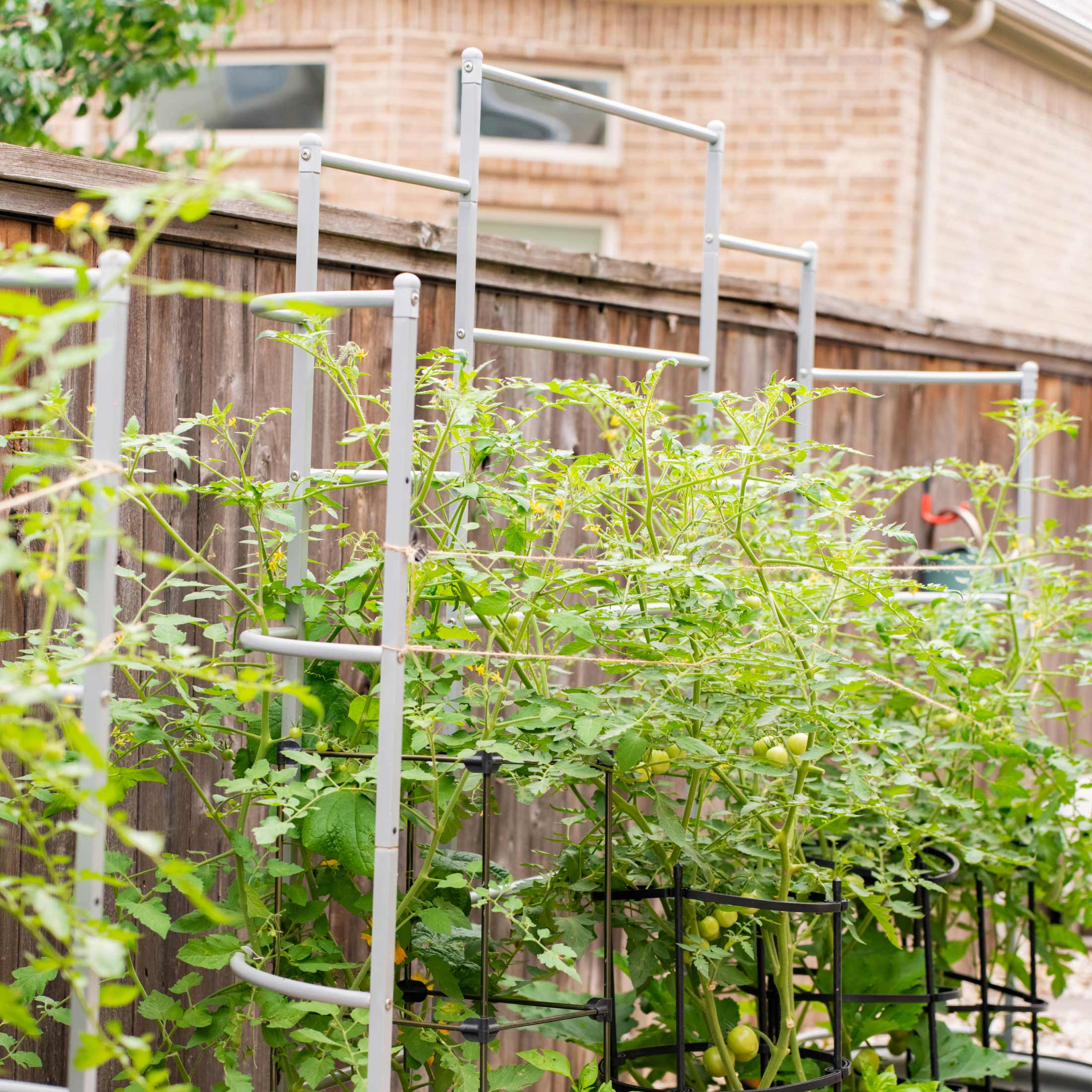 Greenhaus Gardening Metal Garden Trellis for Raised Beds, Outdoor Plant Support