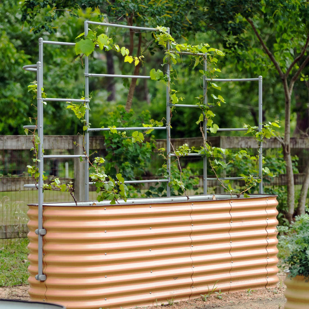 Greenhaus Gardening Metal Garden Trellis for Raised Beds, Outdoor Plant Support