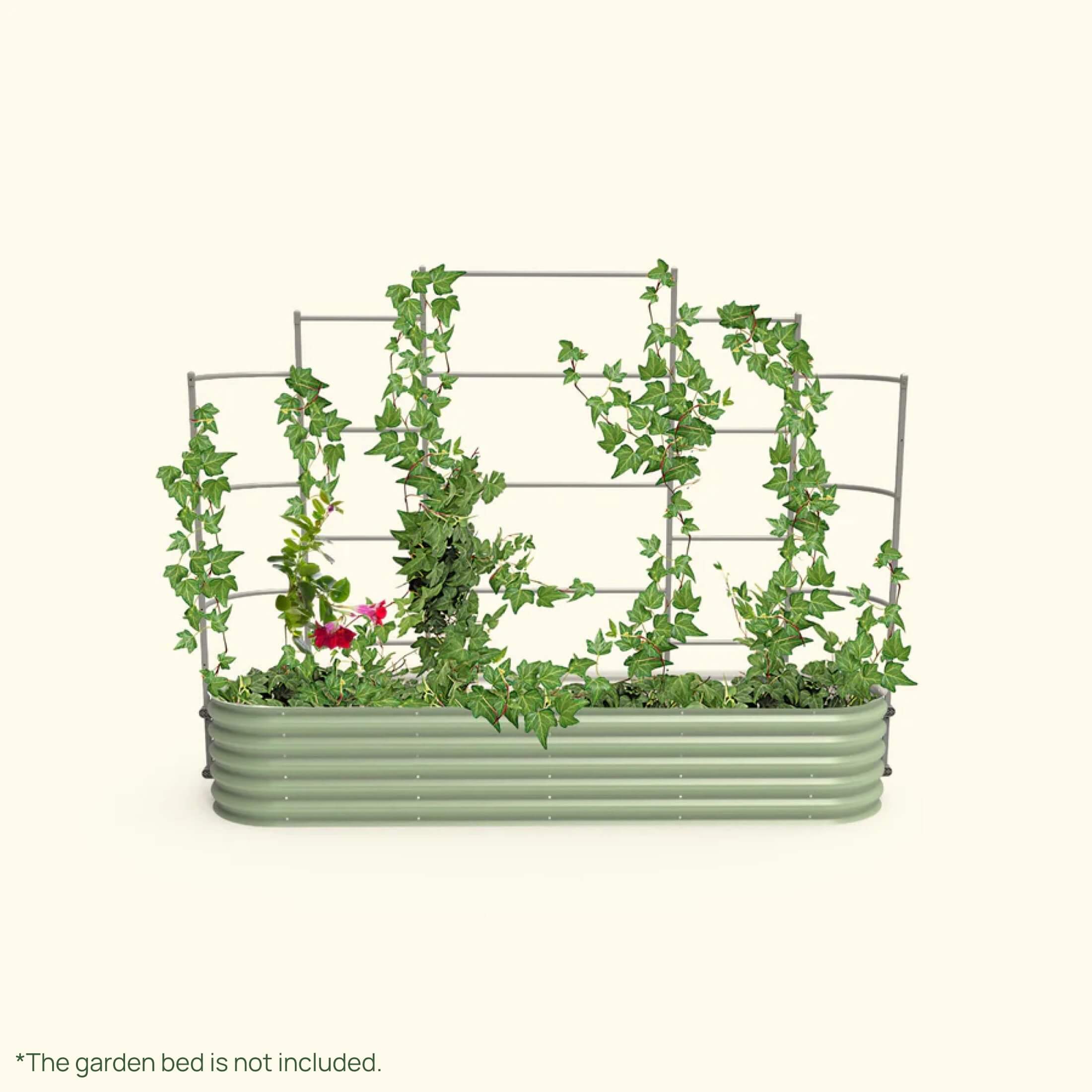 Greenhaus Gardening Metal Garden Trellis for Raised Beds, Outdoor Plant Support