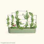 Greenhaus Gardening Metal Trellis System for Runners and Climbing Plants