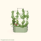 Greenhaus Gardening Metal Trellis System for Runners and Climbing Plants