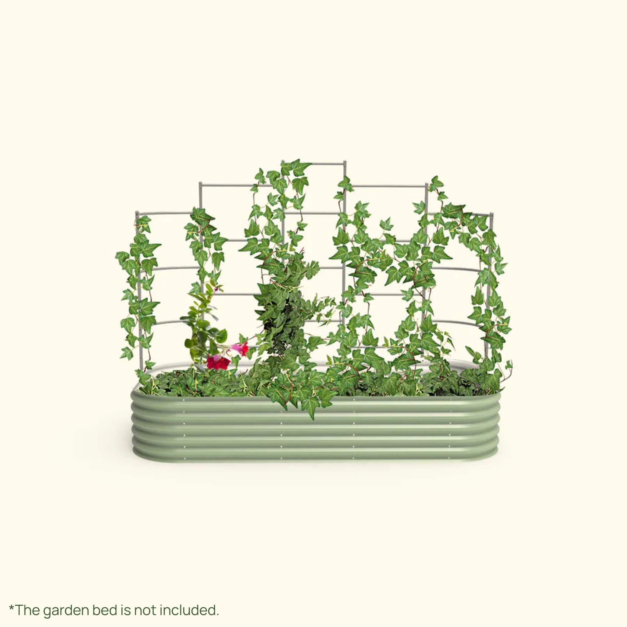 Greenhaus Gardening Metal Garden Trellis for Raised Beds, Outdoor Plant Support
