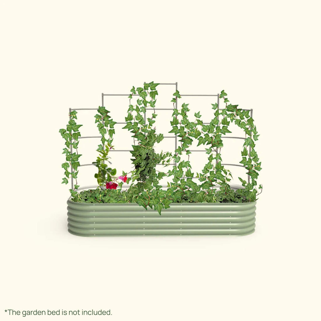 Greenhaus Gardening Metal Trellis System for Runners and Climbing Plants