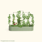 Greenhaus Gardening Metal Trellis System for Runners and Climbing Plants