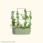 Greenhaus Gardening Metal Trellis System for Runners and Climbing Plants