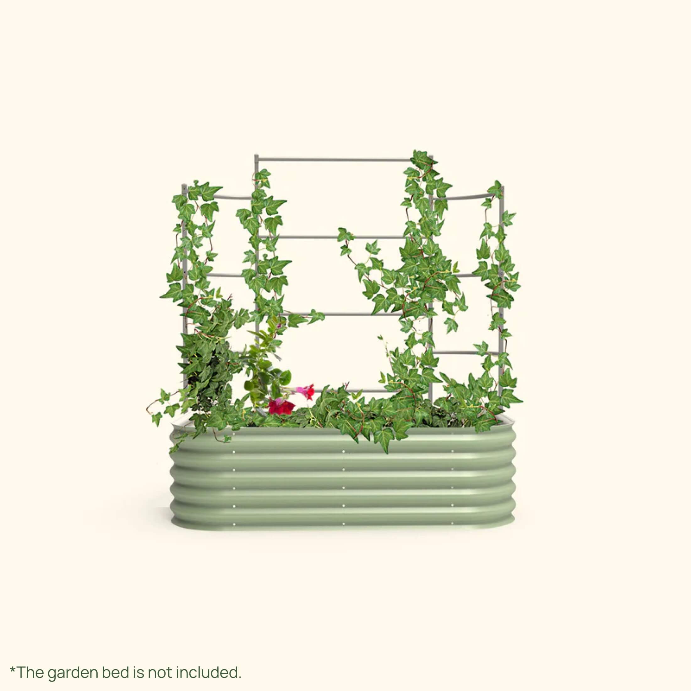 Greenhaus Gardening Metal Garden Trellis for Raised Beds, Outdoor Plant Support