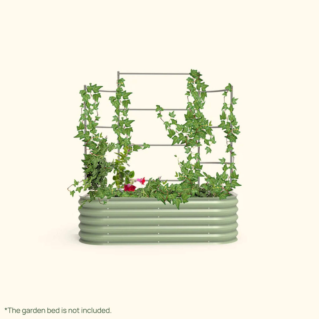 Greenhaus Gardening Metal Trellis System for Runners and Climbing Plants
