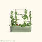 Greenhaus Gardening Metal Trellis System for Runners and Climbing Plants