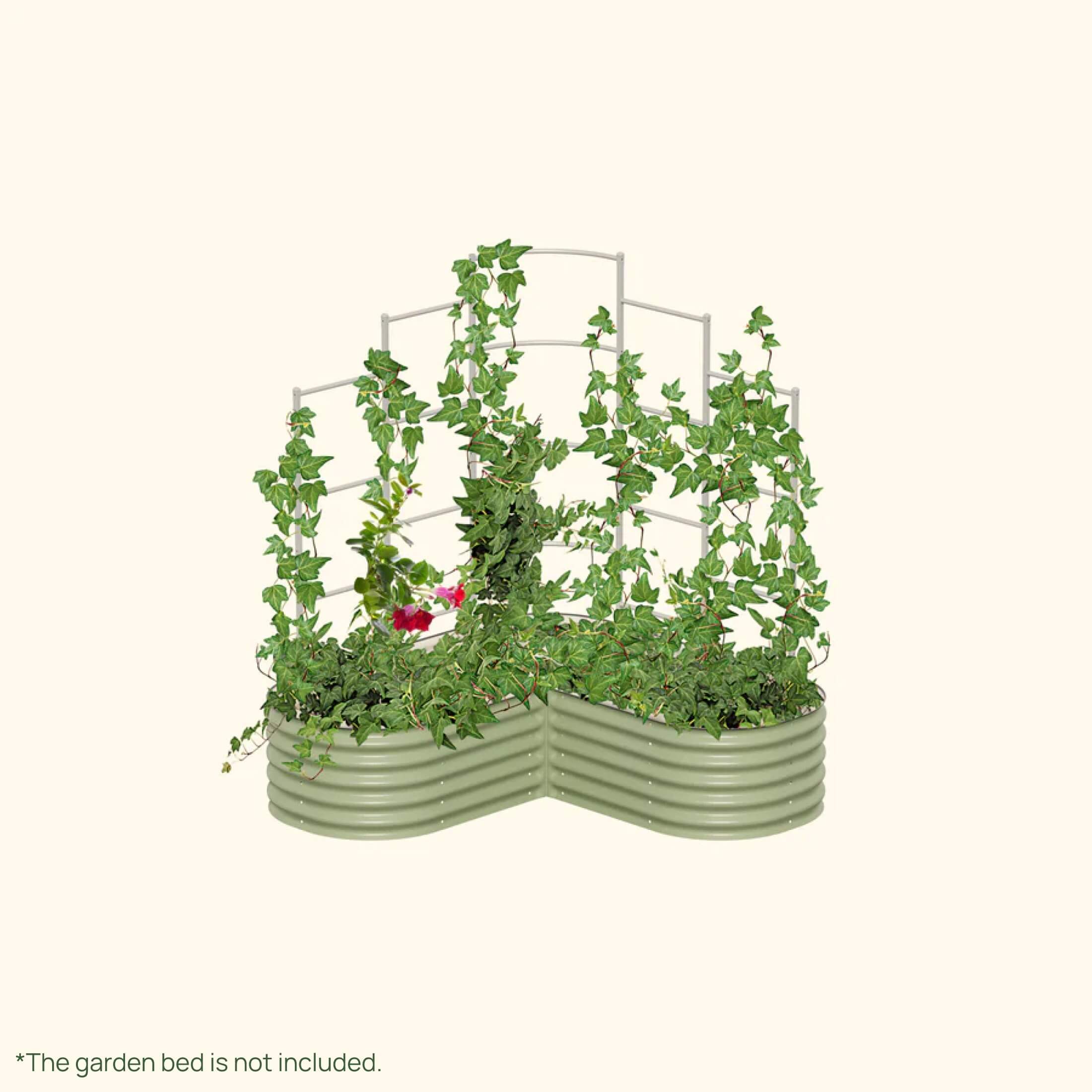 Greenhaus Gardening Metal Garden Trellis for Raised Beds, Outdoor Plant Support