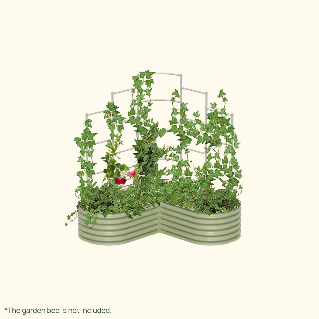 Greenhaus Gardening Metal Trellis System for Runners and Climbing Plants