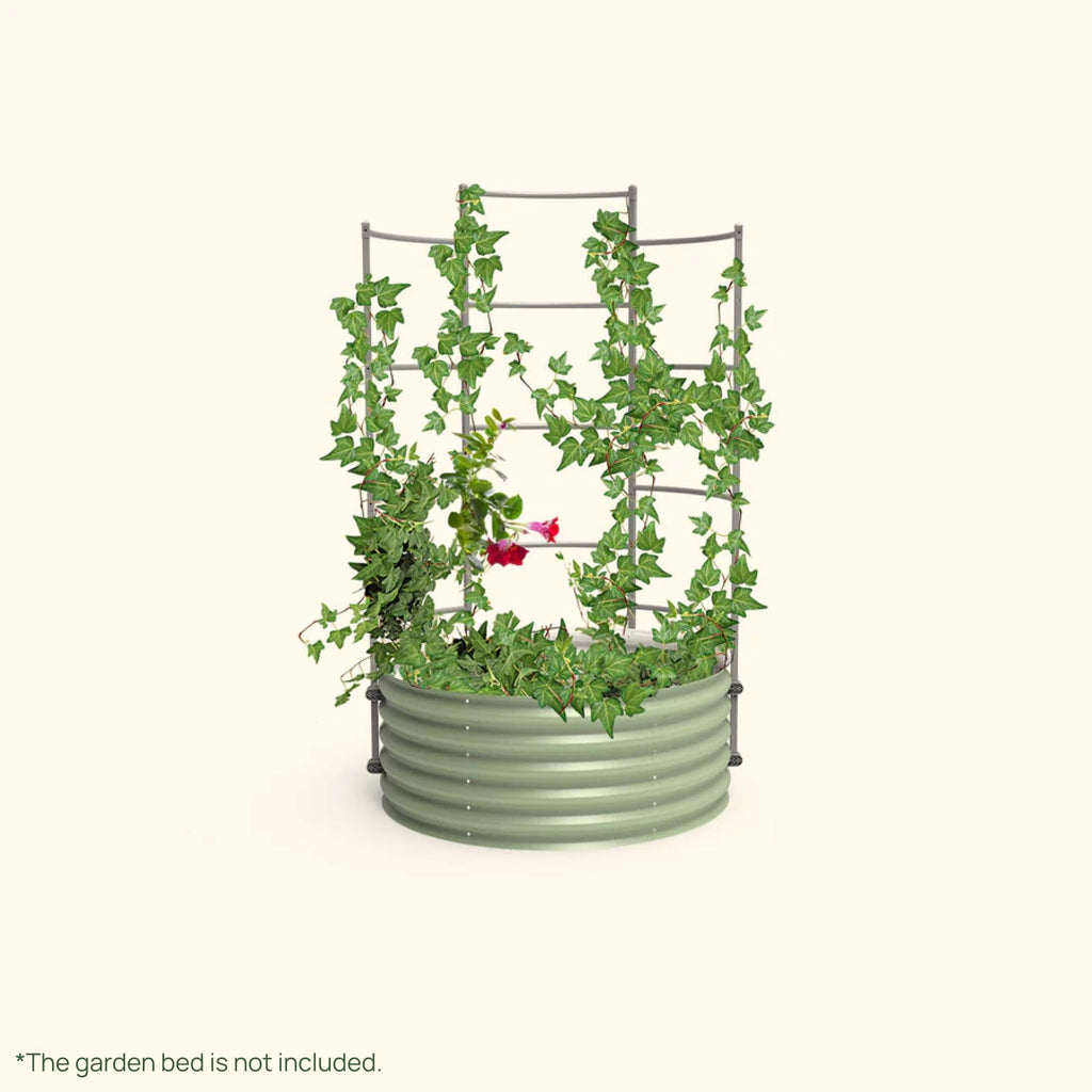 Greenhaus Gardening Metal Trellis System for Runners and Climbing Plants
