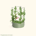 Greenhaus Gardening Metal Trellis System for Runners and Climbing Plants
