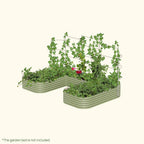 Greenhaus Gardening Metal Trellis System for Runners and Climbing Plants