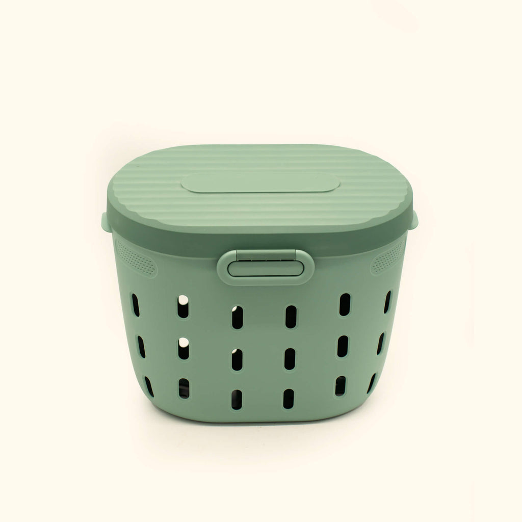 Greenhaus Gardening Raised Bed Worm Composter for Sustainable Gardening